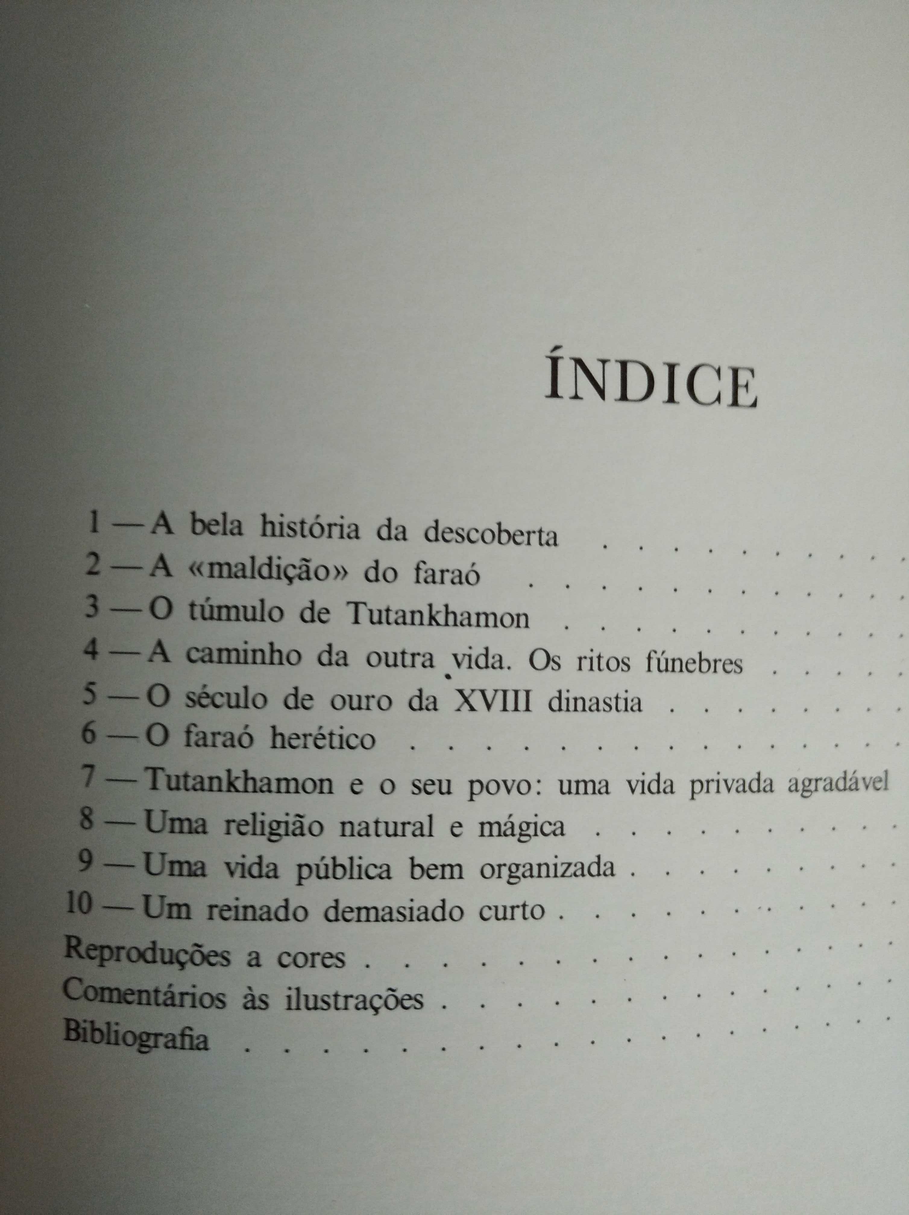 livros coleção, Tesouros de Florença, Bizâncio, Islão, Babilónia, etc