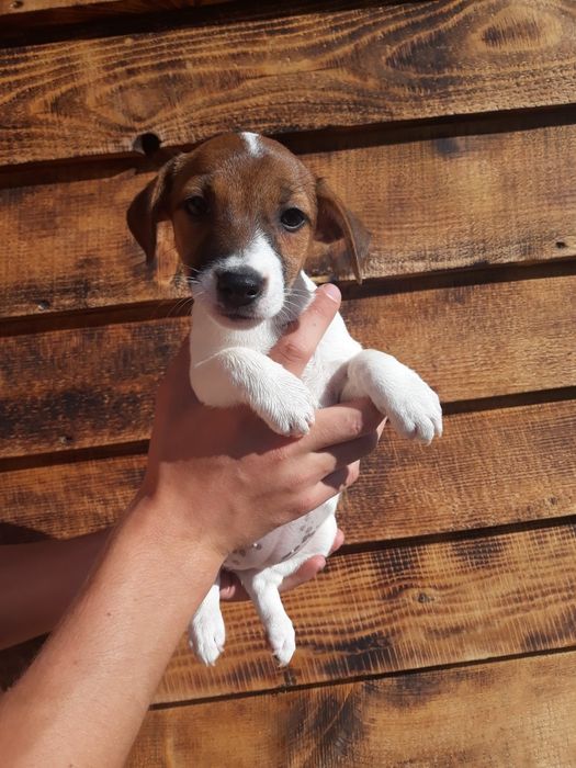 Ты посмотри какая красота