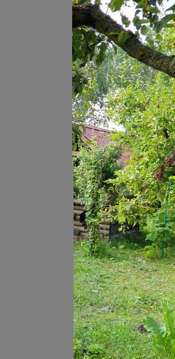 Будинок, літня кухня, 1 га землі з виходом до річки, с. Іванків