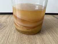 Kombucha– Próbiotico natural - promove saúde do intestino