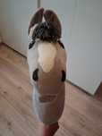 Hobby Horse, Koń na kiju