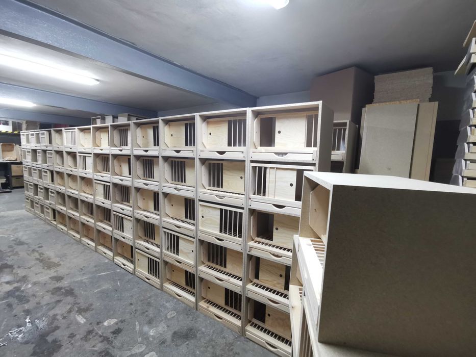 Cele dla gołębi lęgowe