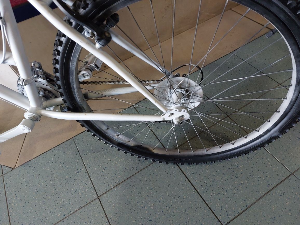 Bicicleta passeio