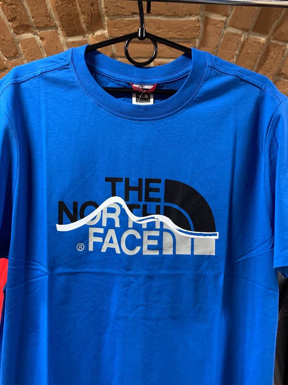 Оригінальні The North Face футболки нові mountain line tee логотип