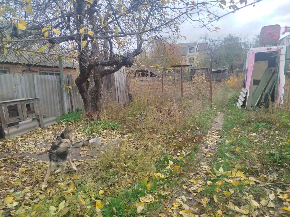 Продам цегляний  будинок в Вододазі поряд з транспортом