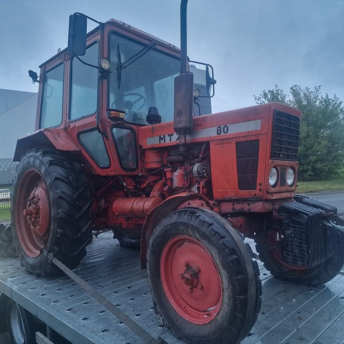 Mtz 80 zarejestrowany