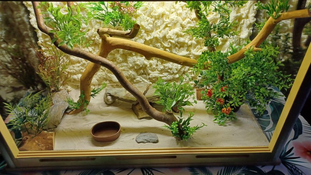 Terrarium dla gadów  węża  jaszczurki gekona