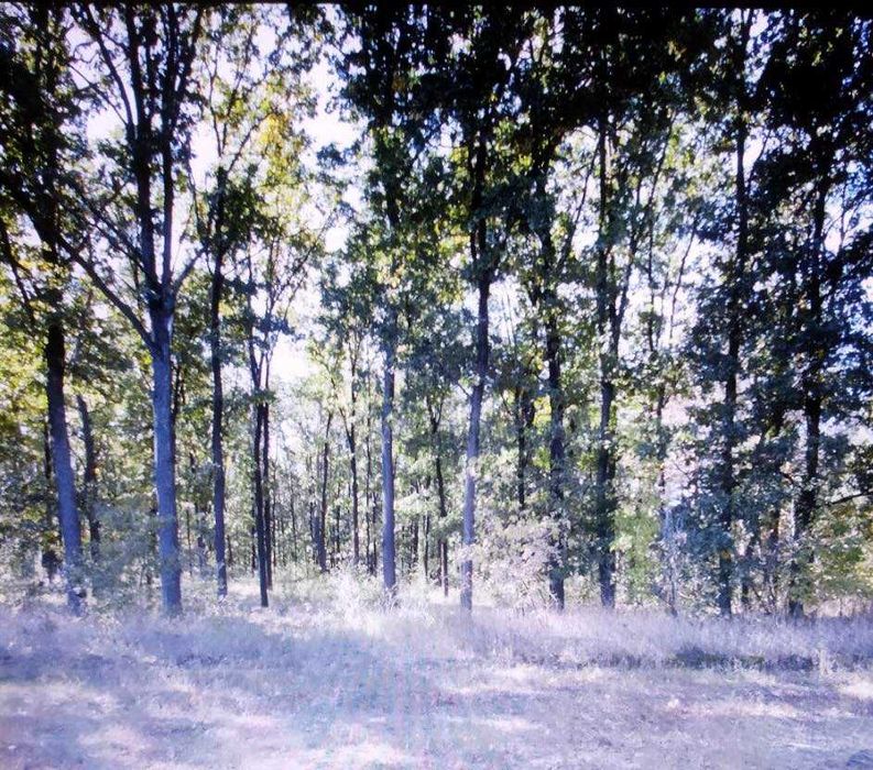 Земельна ділянка під забудову 10 соток у с. Музичі