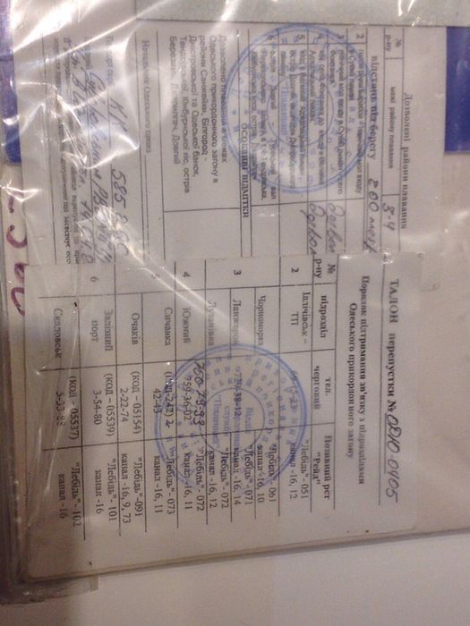 Grand corvette c360 Suzuki DT 15