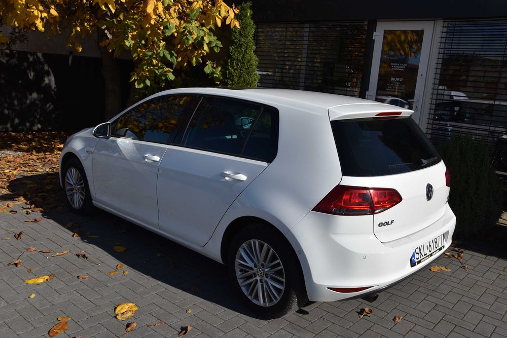 Wypożyczalnia Wynajem  Samochodu Vw Golf VII