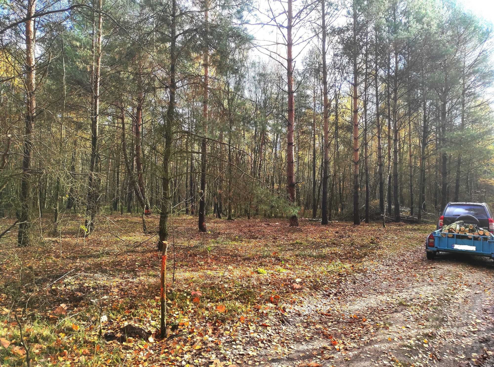 działka ponad 3ha , okolice zbiornika Jeziorsko 12,95zł/m2