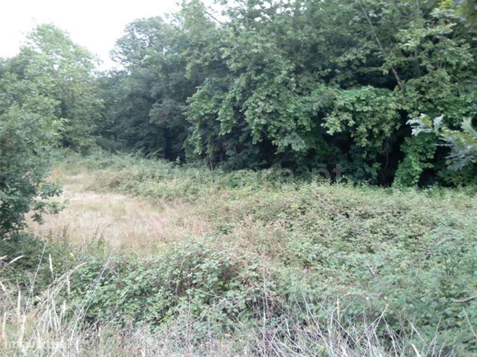 Terreno com 2.600 m2 em Travassós