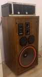 Cerwin-Vega M-100