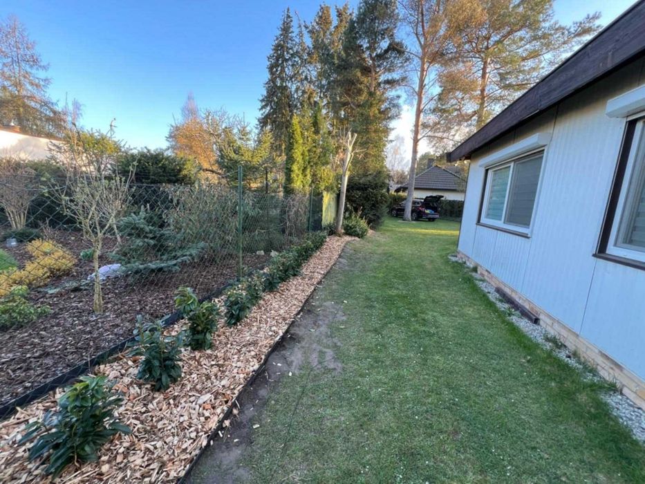 Zrębka ozdobna sosnowa