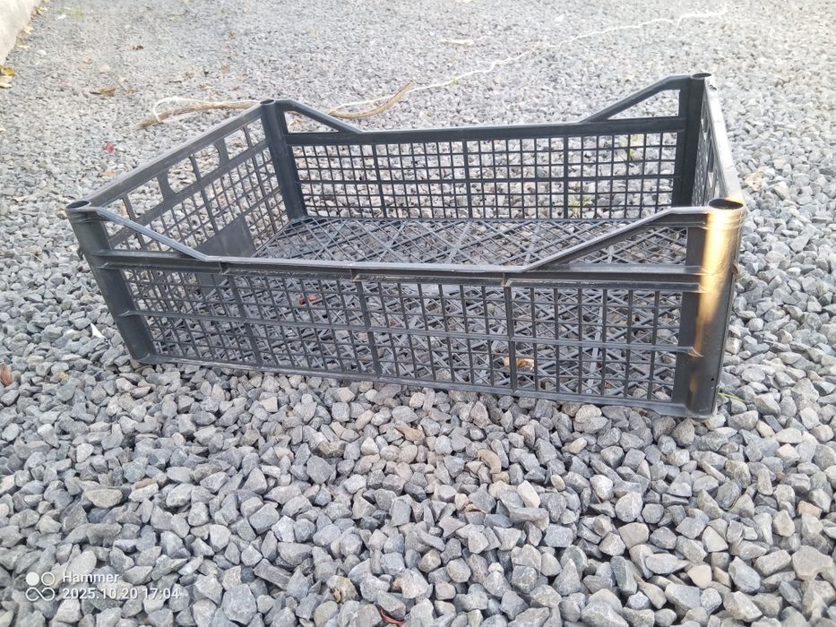 Skrzynki kapusta kalafior 40x60