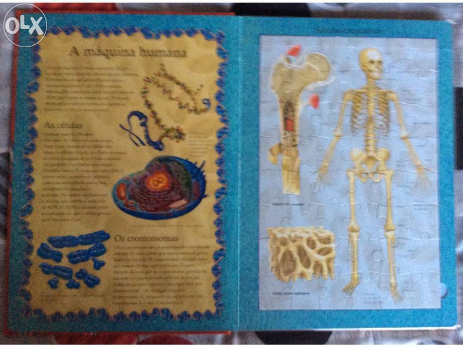 Livro - puzzle Corpo Humano