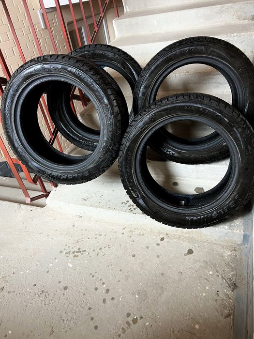 Зимние шины Belshina