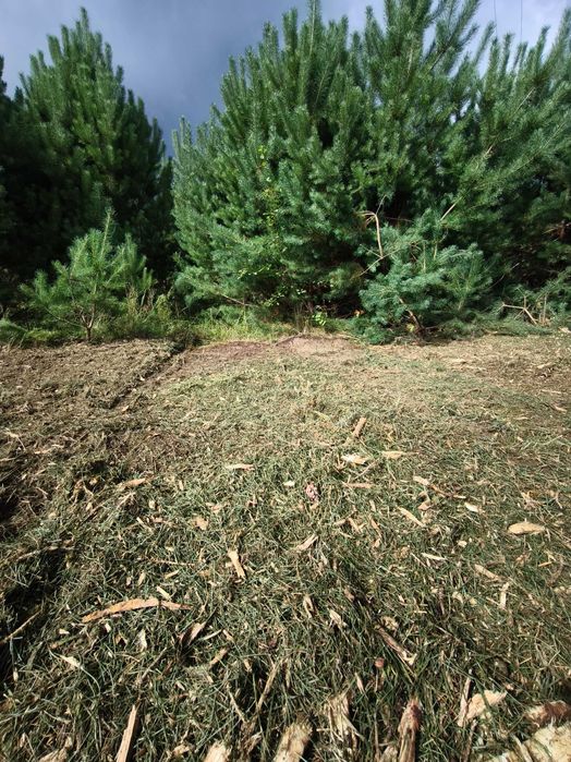 Mulczer leśny - Czyszczenie, oczyszczanie działek, nieużytków, gruntów
