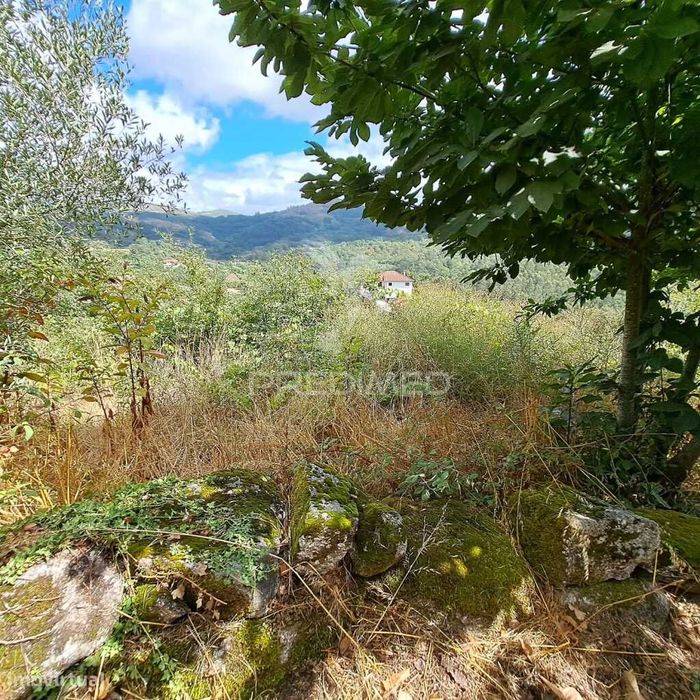 Terreno c/projeto aprovado de vivenda c/pisicina