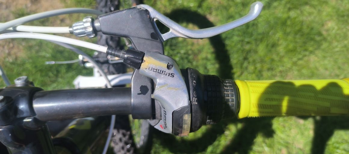 Rower Scott Scale Jr 24