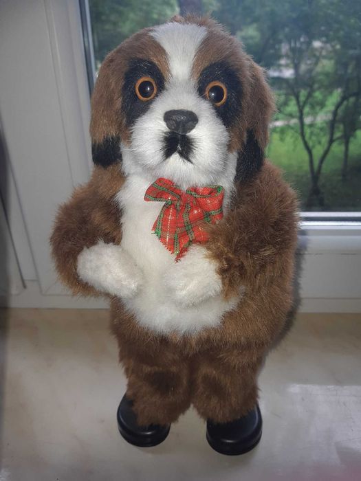 Мила танцююча та співаюча собачка