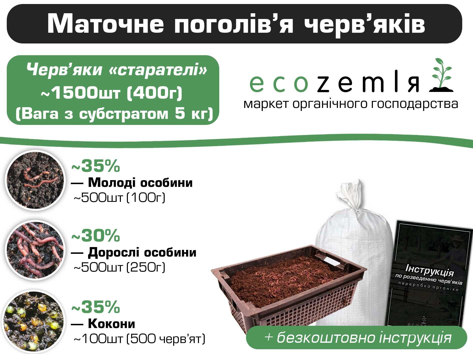 Хробаки сім'я 1500шт старатель каліфорнійський для біогумусу рибалки