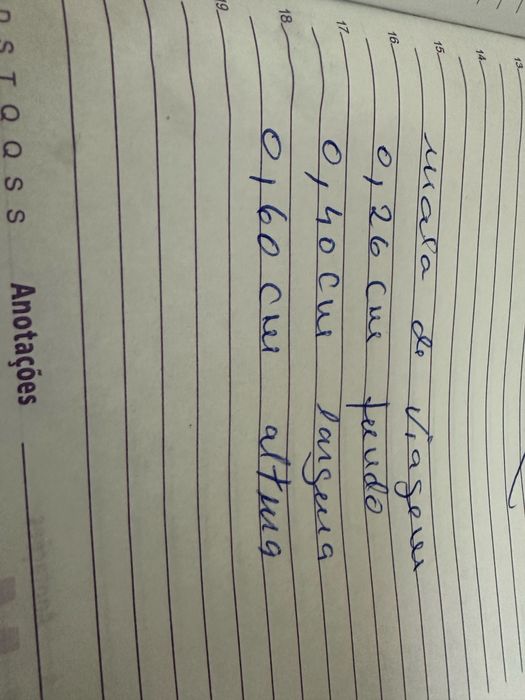 Mala de viagem em bom estado