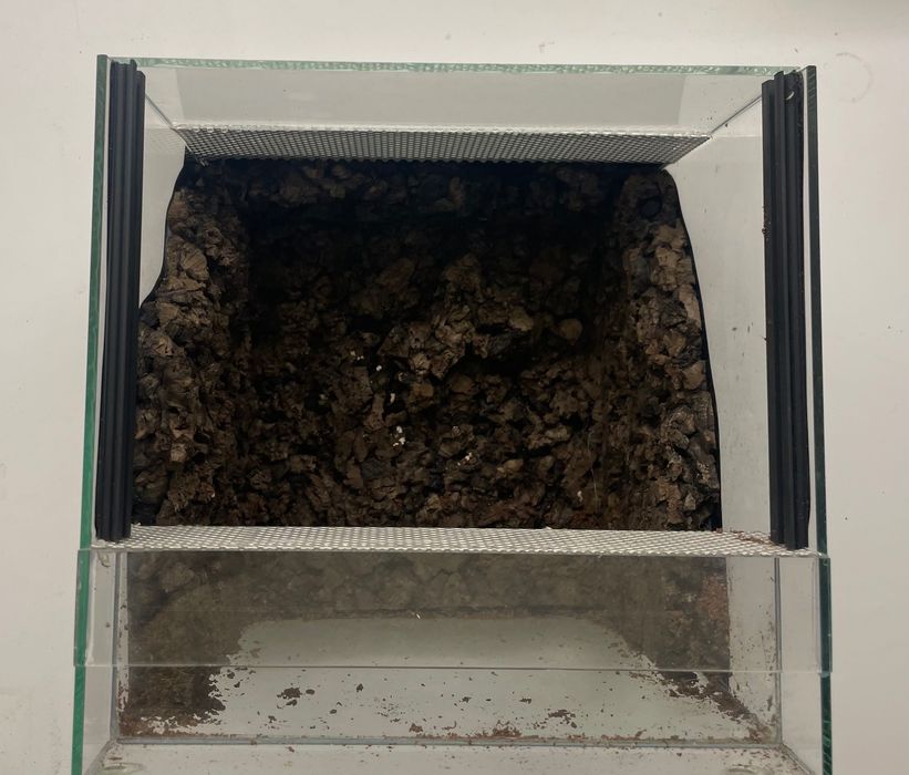 Terrarium kostka 20x20x20cm gilotyna