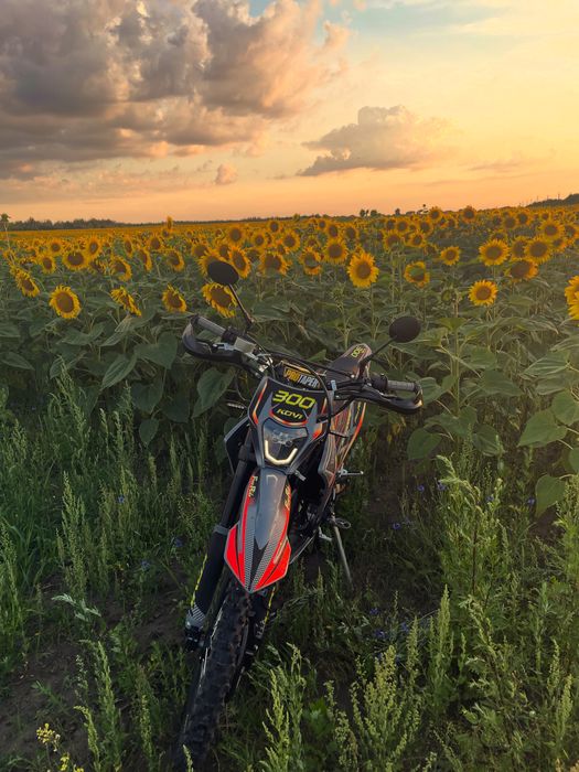 Кові адванс 300 фрі райд