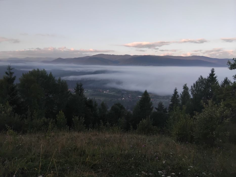 Відпочинок у Карпатах. Котедж "Під лісом".