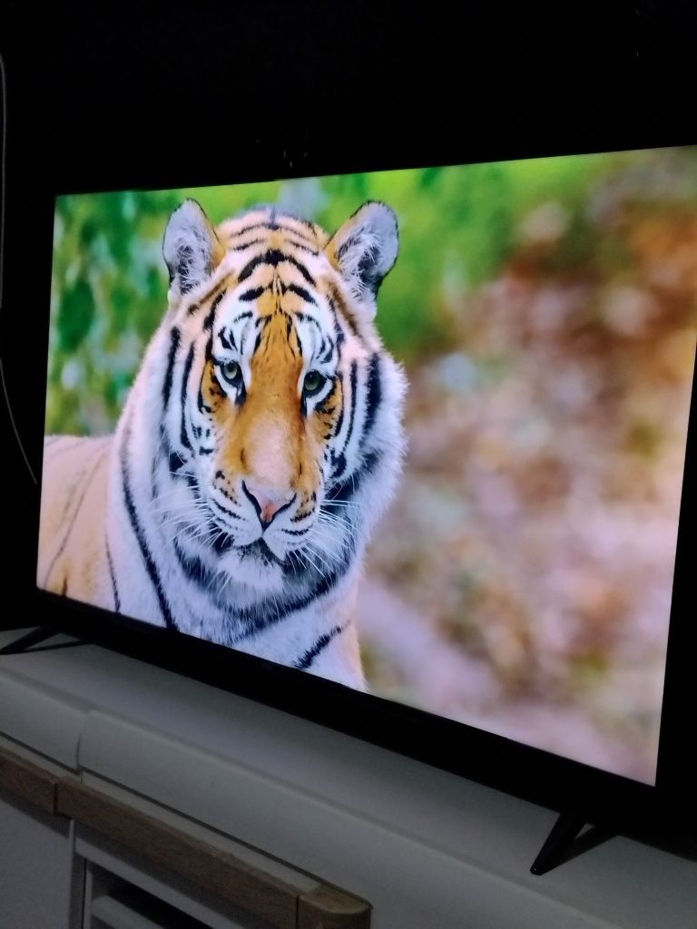 Smart tv TCL 43" (negociável)