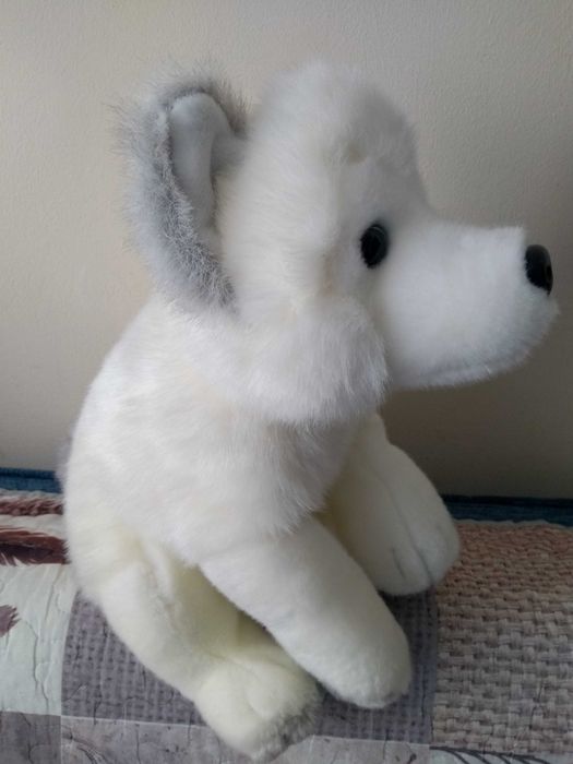Maskotka pluszowa Pies Husky Lumi Lapland 30 cm