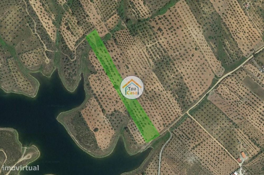 Terreno de 9.750m2 (1 ha) com Olival e possibilidade de colocar Bungal