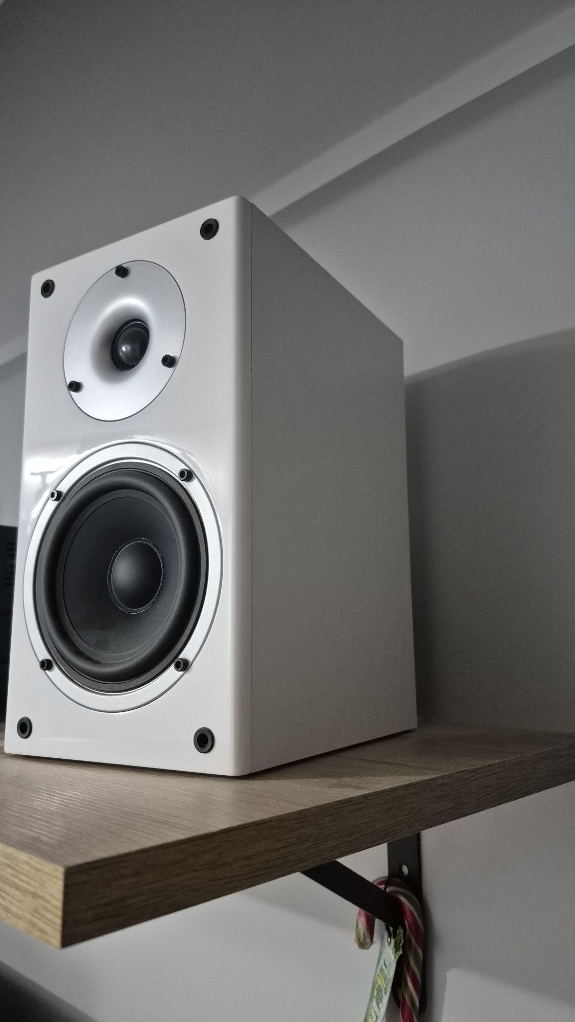Kolumny wilson raptor 1