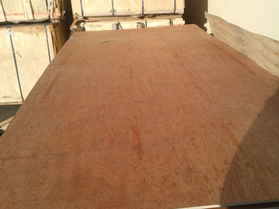 Sklejka topola wd 6mm 2500x1250 lekka cena za arkusz