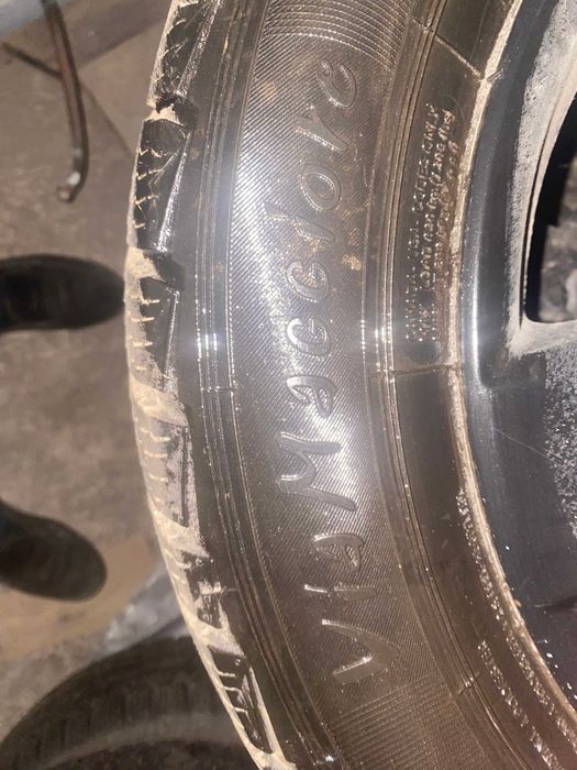 шини зимові Premiorri ViaMaggiore 205/55 R16
