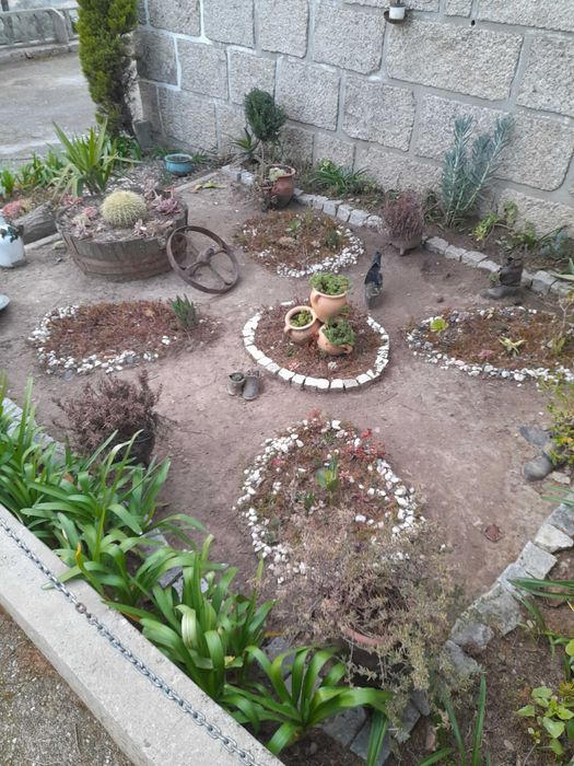 Serviços de Jardinagem