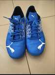 Buty halowe Puma