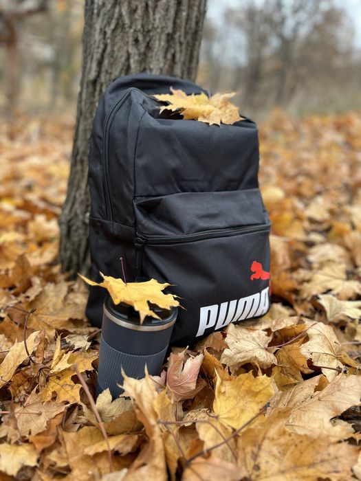Спортивный рюкзак Puma Phase Backpack