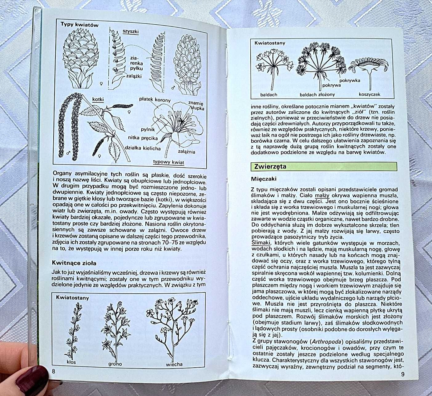 Przewodnik do rozpoznawania roślin i zwierząt na wycieczce, Multico