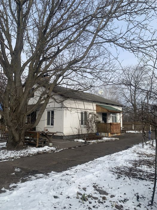 Дом- усадьба, собственник