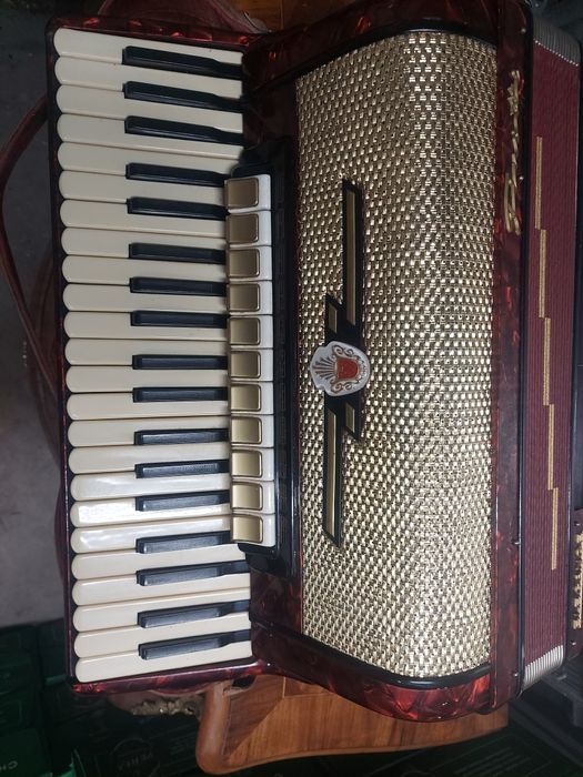 Akordeon firotti 120 basów