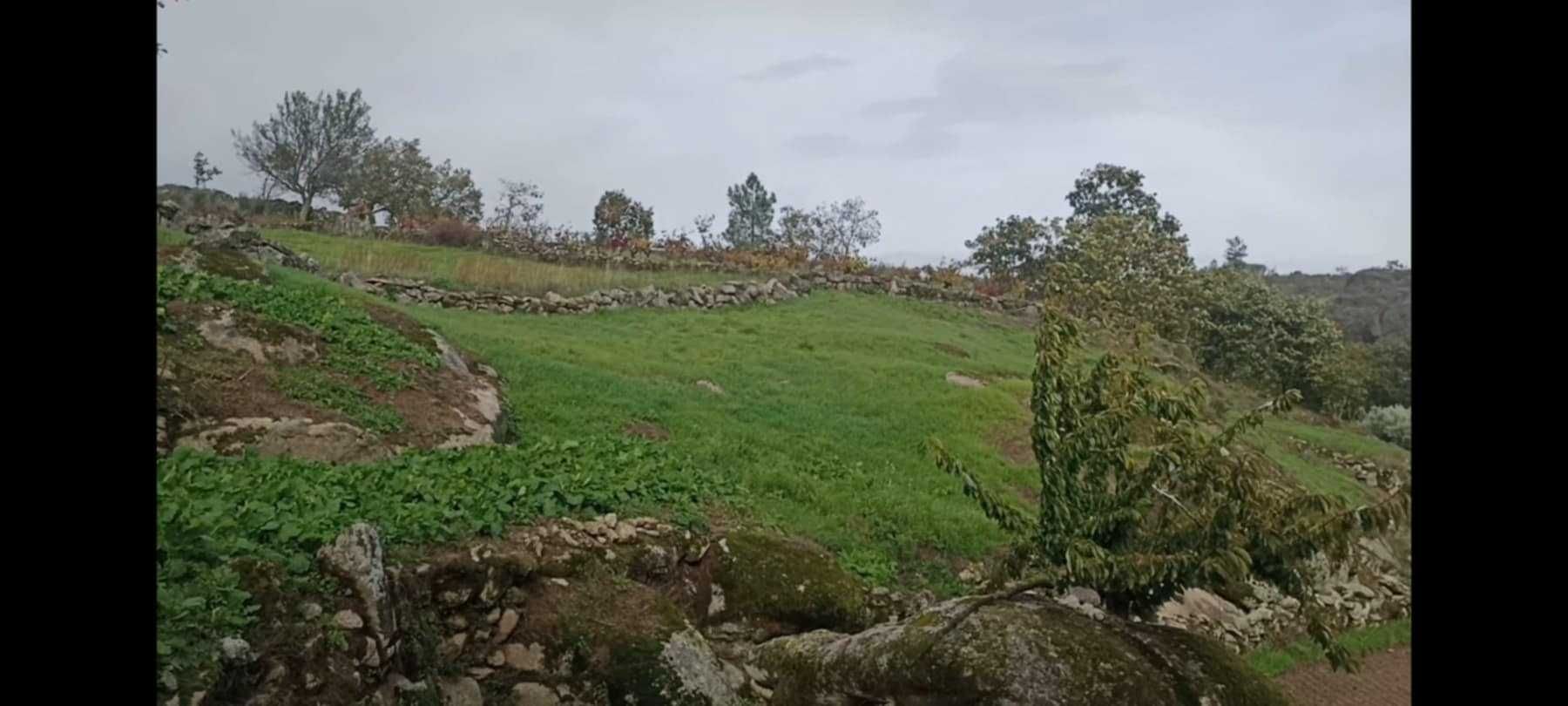 Terreno com 1,6h e viabilidade de construção apoio agricola