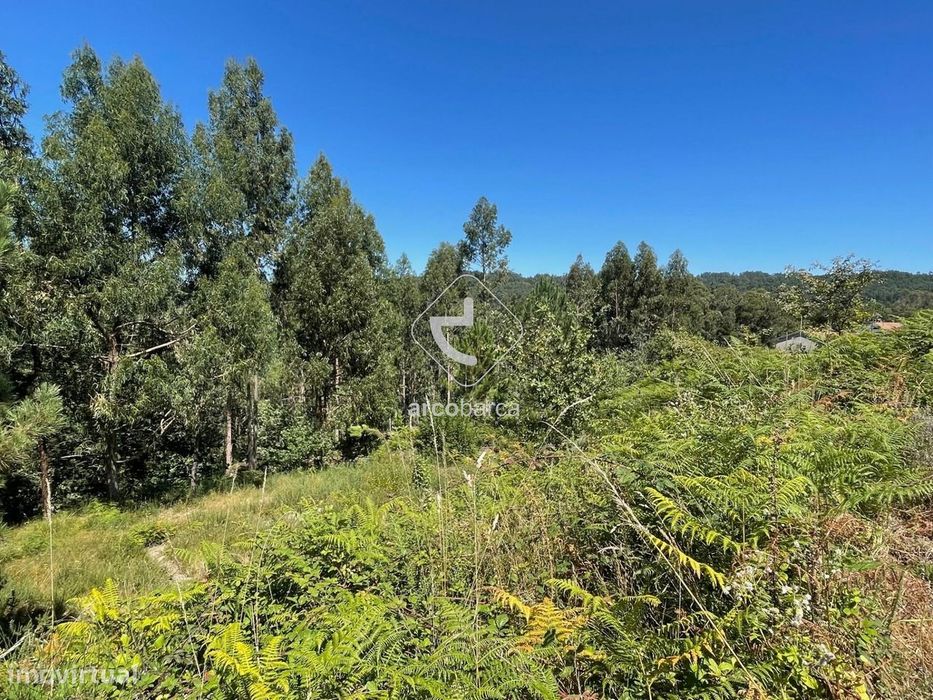 Terreno urbano com 2100m2 e projeto para moradia T2, na freguesia de I