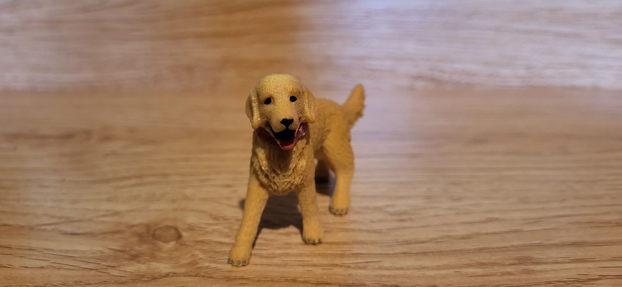 Schleich pies Golden retriever figurki model z 2020 r.