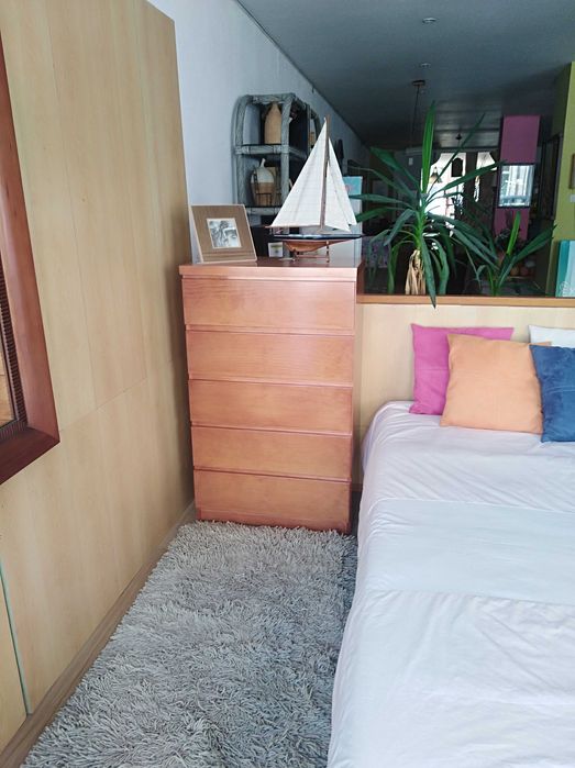 Camiseiro C. Cerejeira, NOVO