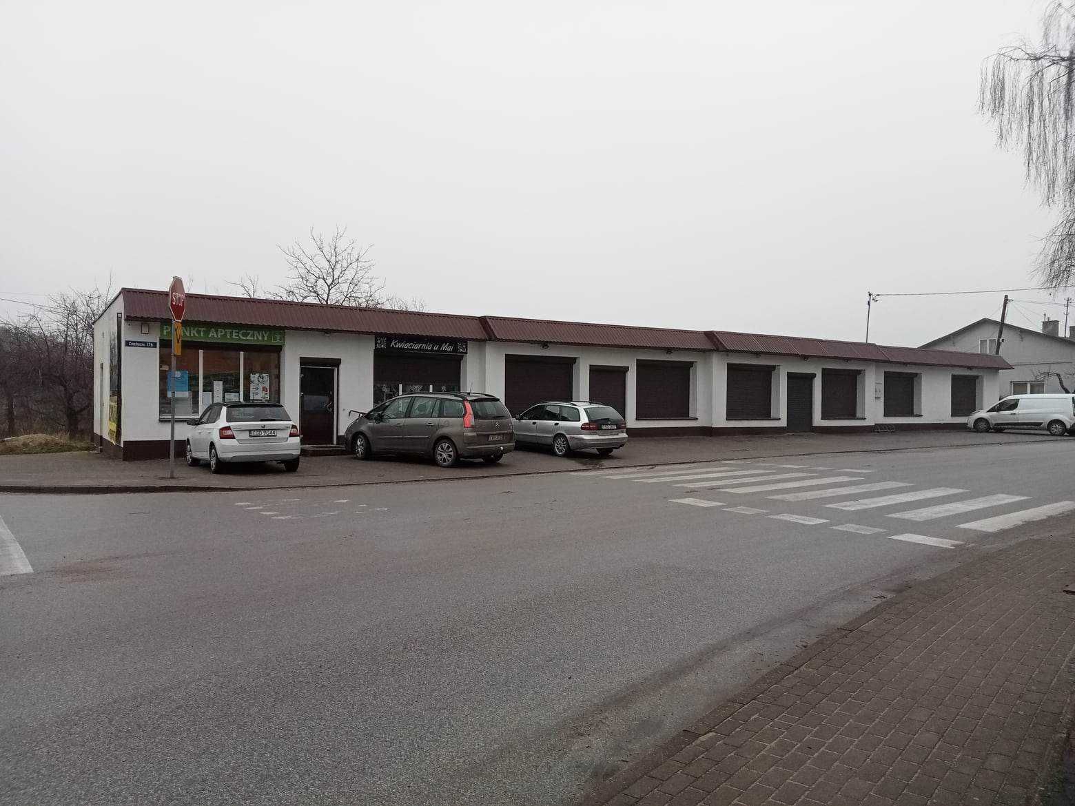 Ciechocin lokale