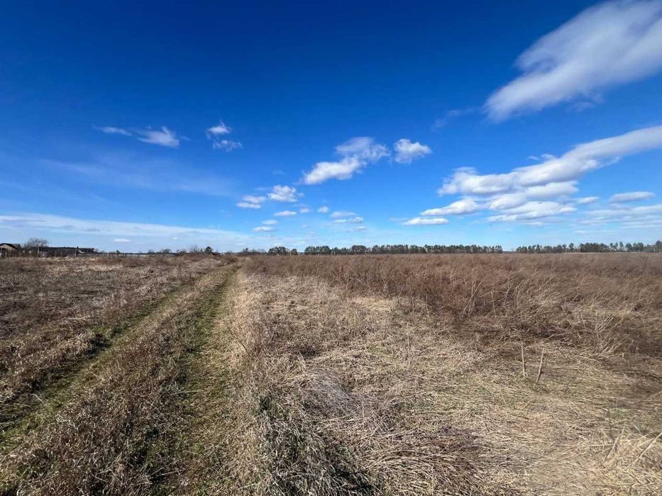 Продаж земельної ділянки 1,46га (ОСГ). Терміново! ТОРГ! ID:679