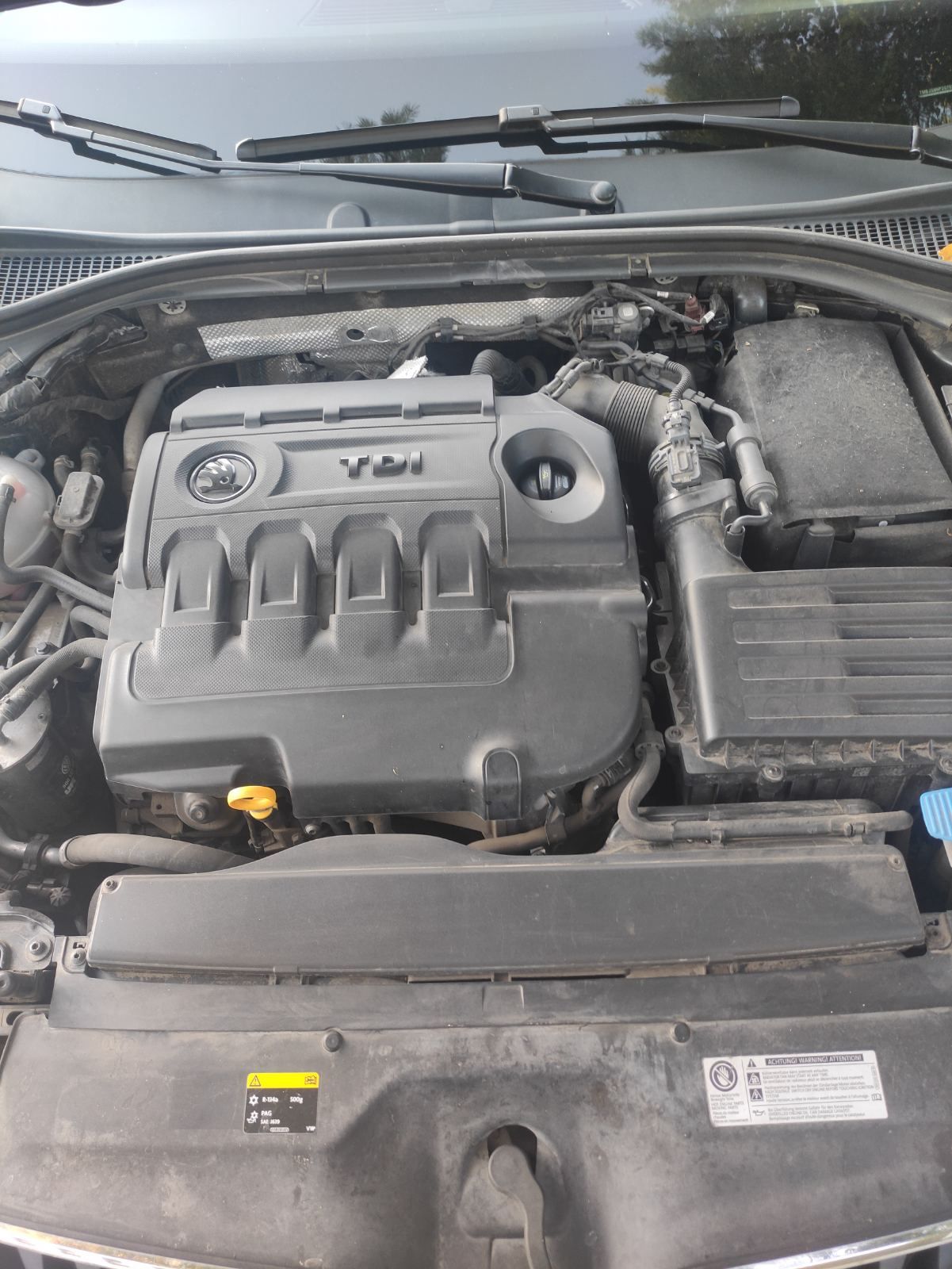 Машина Skoda superb