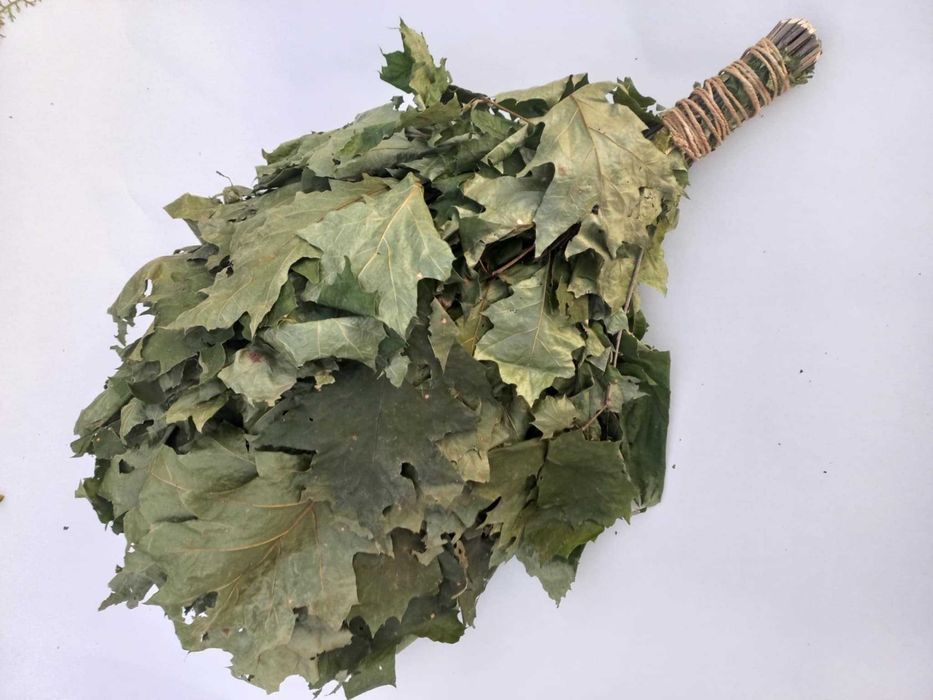 Банні віники дуб ,берёза, липа, хвоя эвкаліпт Трави3/5/65